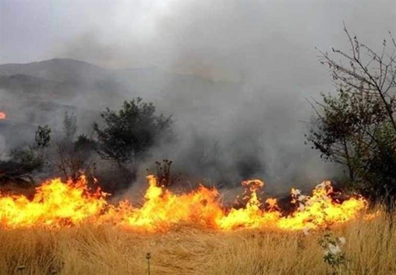 آتش جنگل های خوزستان خاموش شد
