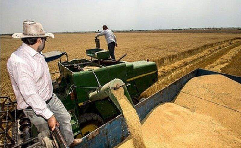 خرید تضمینی گندم در خوزستان به 1.2 میلیون تن رسید