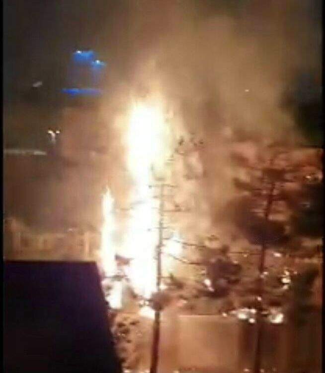 آتش‌سوزی درختان برق یک منطقه مشهد را قطع کرد