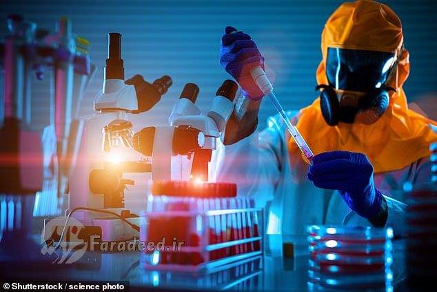 در رقابت با ویروس‌ها و باکتری‌ها، هیچ تضمینی نیست که «انسان» بقا پیدا کند