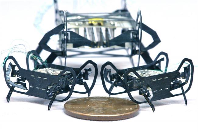 ساخت کوچکترین و سریع‌ترین ربات دنیا