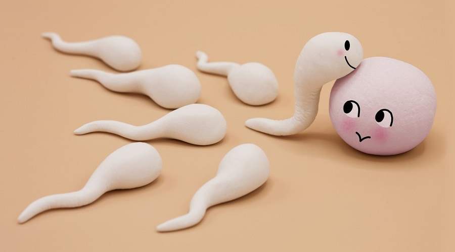 آیا می دانستید آن اسپرم خوش شانس را تخمک زن انتخاب می کند؟