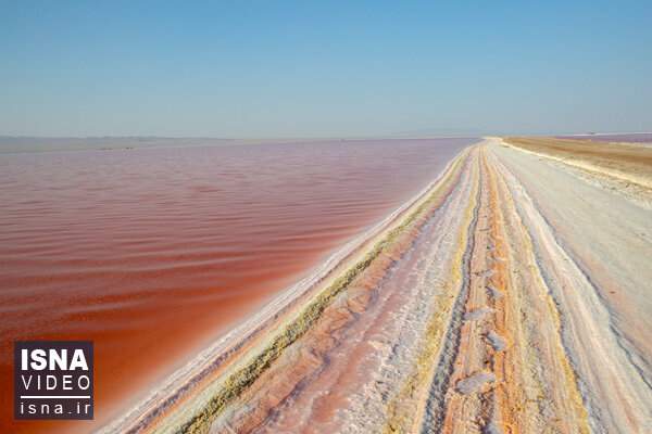 ویدئو / قرمز شدن آب دریاچه نمک قم با تکثیر یک جلبک