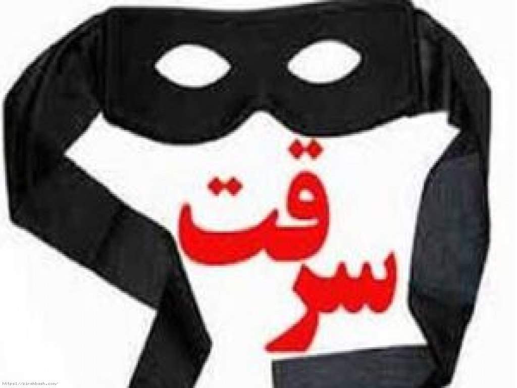 سرقت 4 هزار دلاری صاحبخانه از مهمان با خوراندن چای مسموم