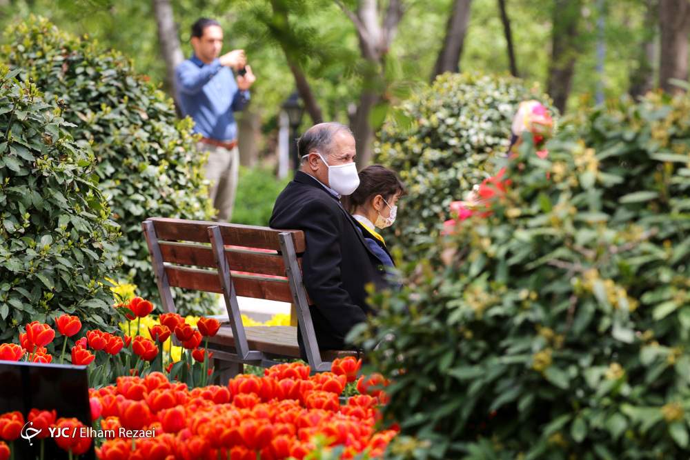 هوای تهران در اولین روز تابستان سالم است