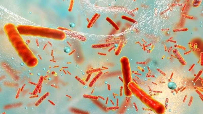 دانشمندان با یک هورمون خاص باکتری را مجبور به تولید آنتی بیوتیک کردند