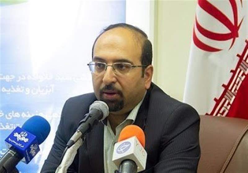 جزئیات طرح خرید توافقی ماهی/ ماهی‌های جنوب خودخوری می‌کنند