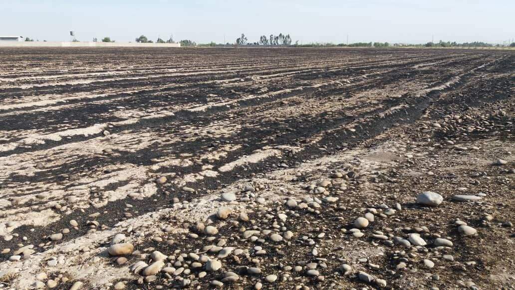 18 پرونده آتش سوزی زمین کشاورزی در دزفول تشکیل شد