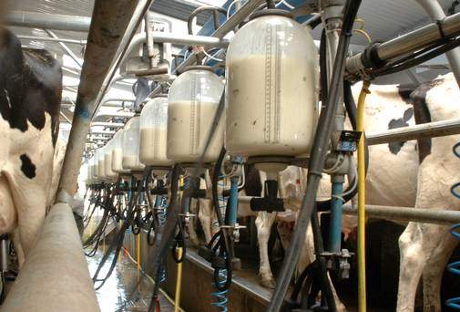 قیمت جدید شیر تیشه به ریشه صنعت دامپروی خواهد زد/ دوباره واردکننده خواهیم شد/ چرا باید هزینه حمایت از مصرف کننده از جیب تولیدکننده پرداخت شود؟