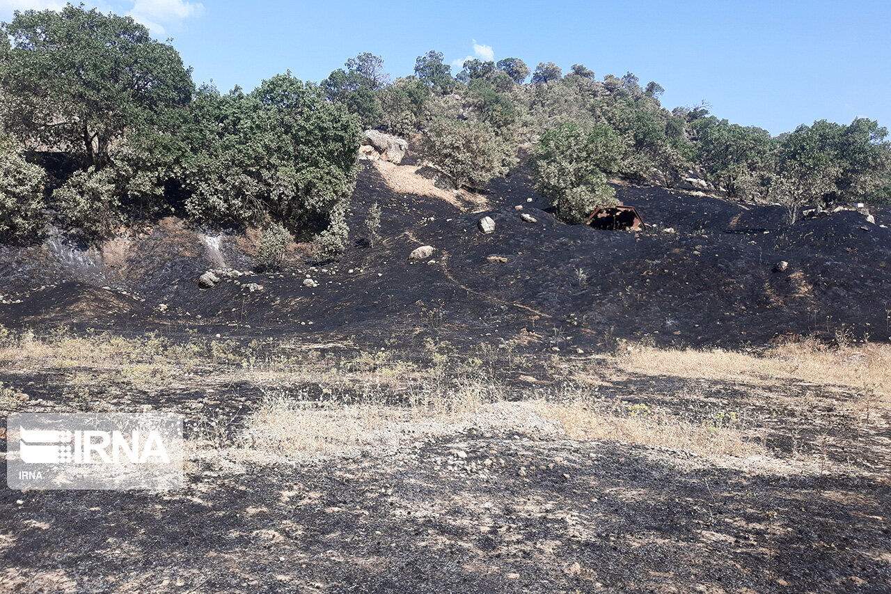 آتش‌سوزی منطقه حفاظت‌شده بوزین مرخیل پاوه مهار شد