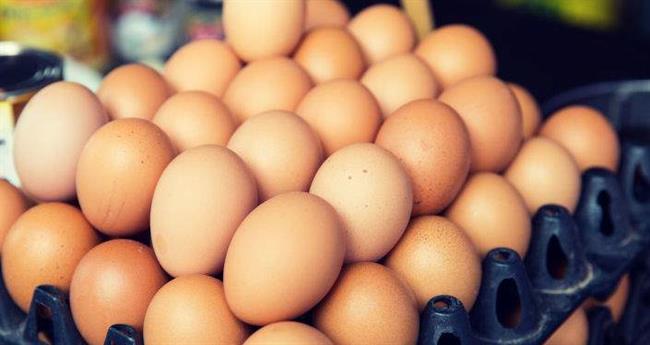 دانشمندان در مورد فواید تخم مرغ خبر دادند
