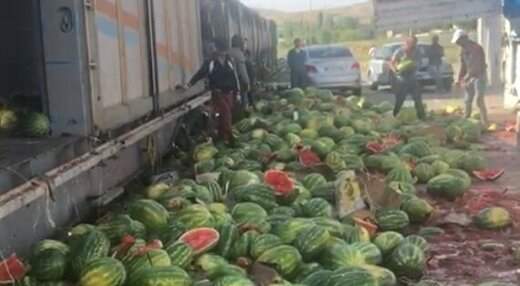 خسارت سنگین و میلیاردی صادرکنندگان میوه آذربایجان‌غربی از قوانین جدید ترکیه