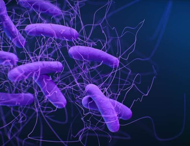 نرم‌افزاری که باکتری‌های مقاوم در برابر دارو را شناسایی می‌کند