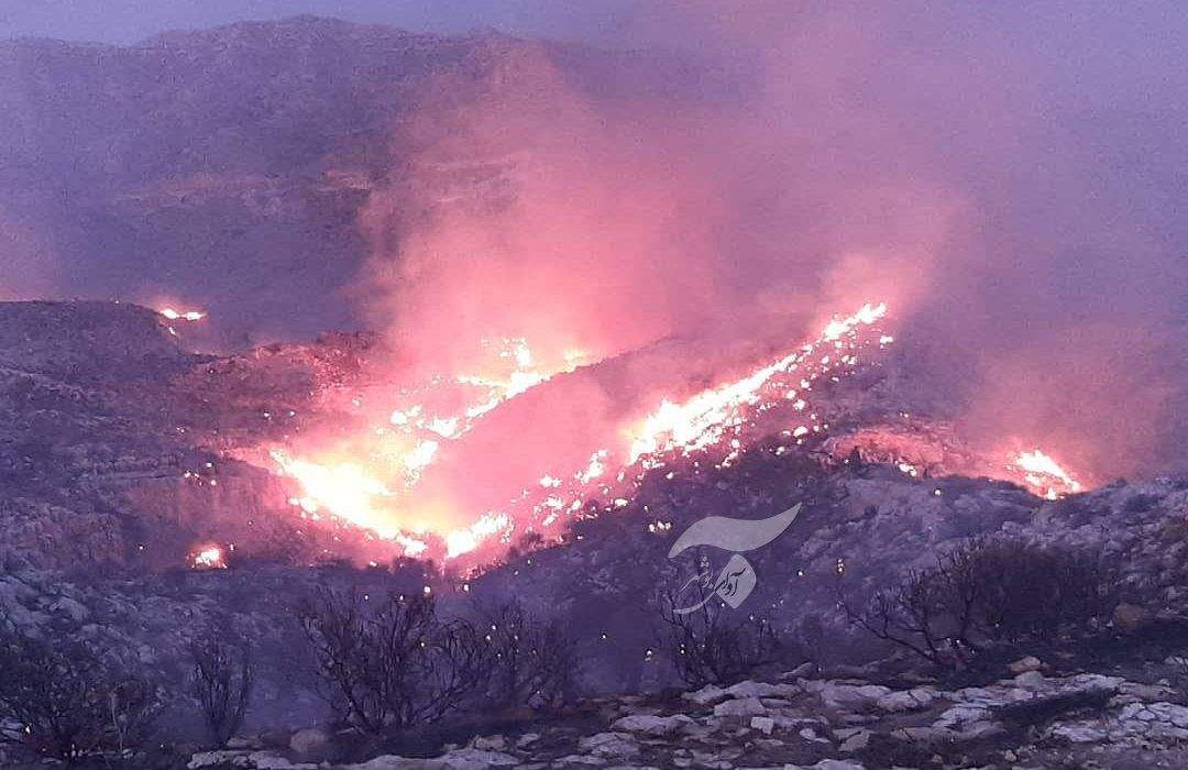 آتش سوزی در کوه‌های جم کنترل شده است