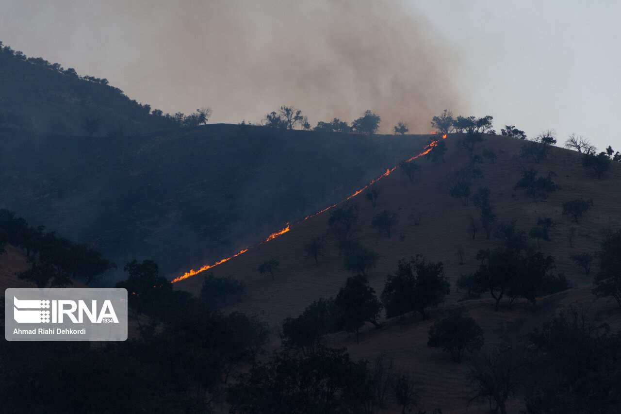 خاکستر شدن جنگل‌های زاگرس در شعله‌های بی‌توجهی
