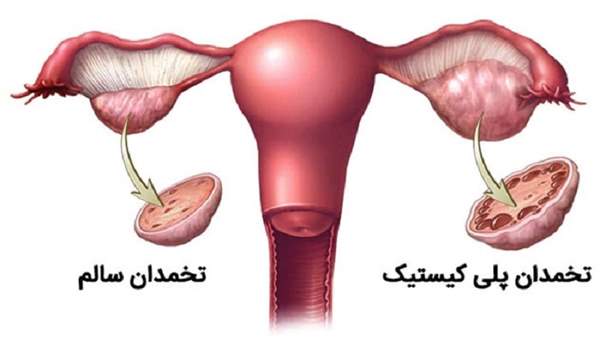 8 پیام سلامت از مو