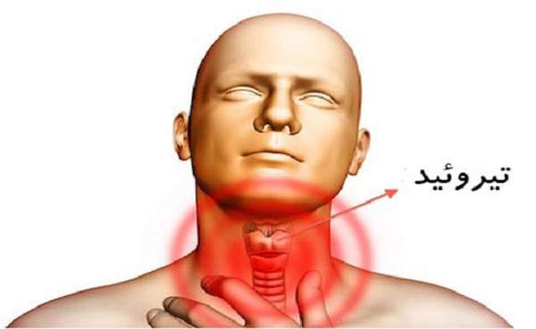 8 پیام سلامت از مو