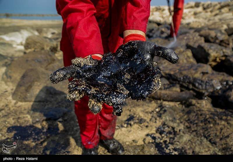 یک محقق ایرانی توانست با پوست گردو آلاینده‌های نفتی را حذف کند!