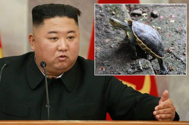 رهبر کره شمالی شهروندان کشورش را به خوردن لاک پشت و شکار قرقاول دعوت کرد