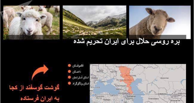 چرا ایرانی ها به گوشت گوسفند حلال روسیه علاقمند هستند؟ + داده نمایی