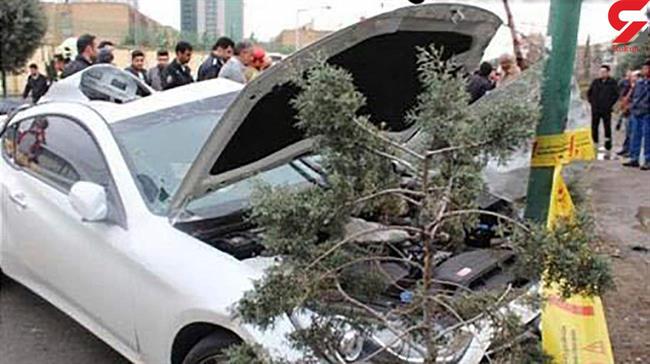 خودرو لاکچری در فرمانیه درپی برخورد با درخت آتش گرفت +عکس