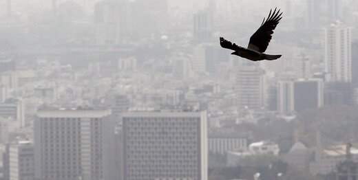 آلودگی پنهان در هوای تهران؛ تابستان از زمستان هم آلوده‌تر بود