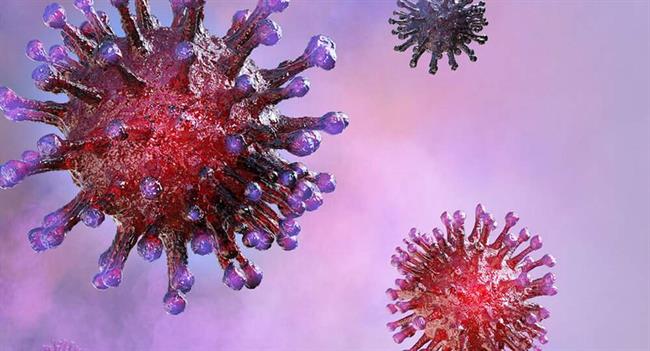 ویروس کرونا تا 28 روز زنده می‌ماند