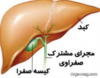 خواص روغن گل سرخ چیست؟