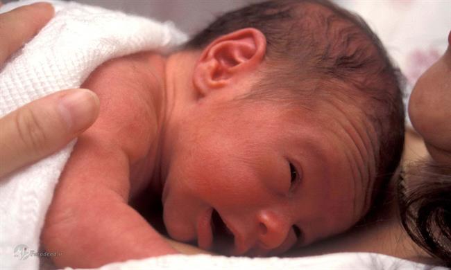 مرگ نیم‌میلیون نوزاد 1‌ماهه در اثر آلودگی هوا در سال 2019