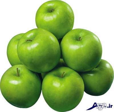 خواص سیب سبز و ویژگی های مفید این میوه دوست داشتنی