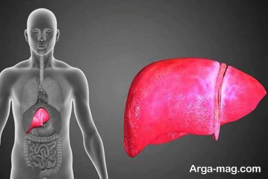 علایم داشتن کبد چرب گرید 2 