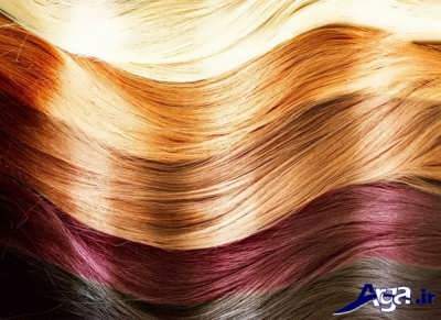 انواع رنگ موهای طبیعی با طرز تهیه ای آسان 