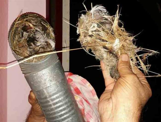 نقشه نجات از دست قاتل خـاموش نقشه نجات از دست قاتل خـاموش