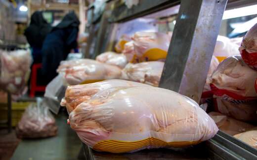 چه عواملی در تعیین قیمت مرغ موثرند؟