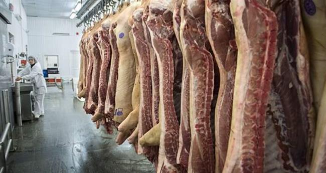 رئیس اتحادیه گوشت گوسفندی ایران نرخ هر کیلو شقه گوسفندی بدون دنبه را اعلام کرد