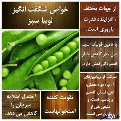 خواص لوبیا سبز