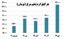 یک یارانه؛ یک شانه تخم‌مرغ!