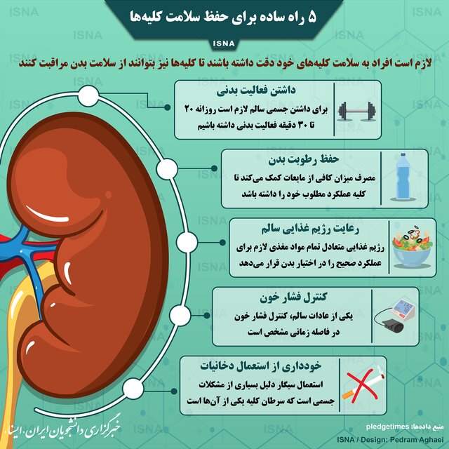 تصویر/ پنج راه ساده برای حفظ سلامت کلیه‌ها