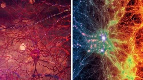 شباهت شگفت‌انگیز مغز انسان به ساختار کهکشان