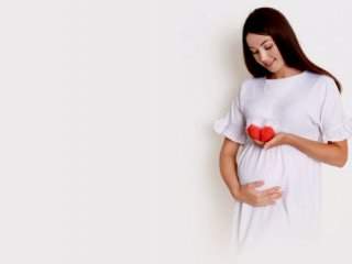 چرایی تـپش‌قلب دوران بارداری