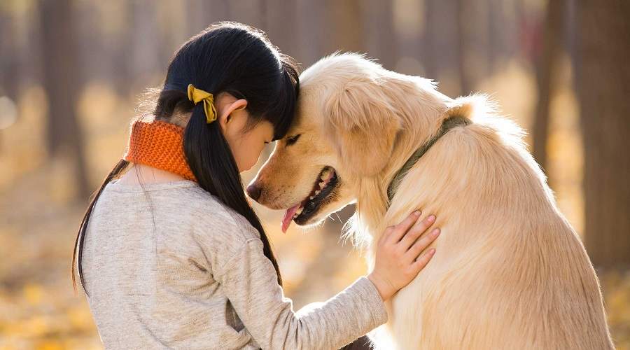 دانشمندان: انسان ها سگ ها را تصادفاً اهلی کردند