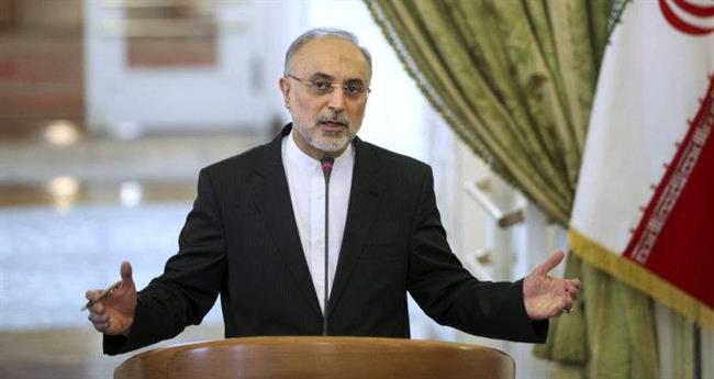 صالحی: توافق ایران و آژانس محرمانه‌ است