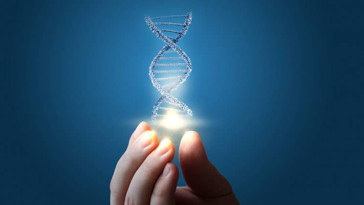 محققان 64 ژنوم کامل انسان را به منظور درک بهتر تنوع ژنتیکی توالی‌یابی کردند