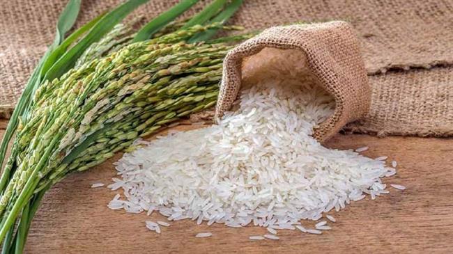 افزایش نوسانات قیمت برنج در بازار شب عید