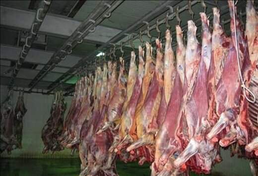 58 هزار تن گوشت در کشتارگاه های دام و طیور استان مرکزی تولید شد