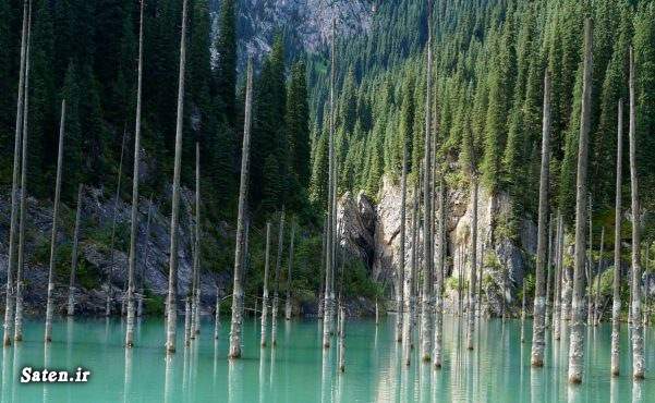 مناطق گردشگری قزاقستان قزاقستان عکس جنگل عجایب طبیعی عجایب شگفت انگیز جهان دریاچه کیندی جنگل زیر آب