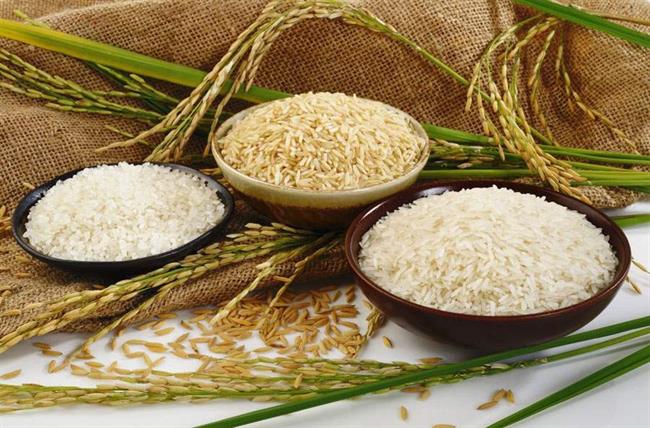 انواع برنج