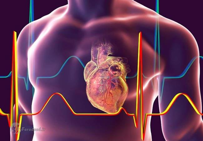 درمان تپش قلب؛ برای تپش قلب چی خوبه؟