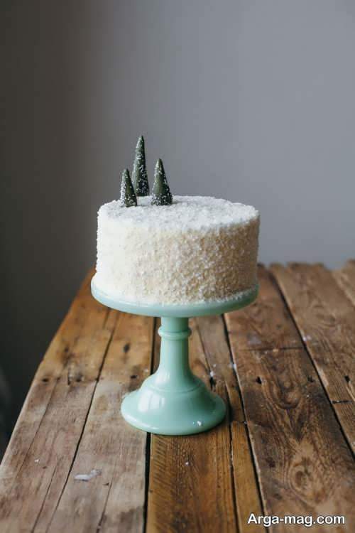 تزیین زیبا کیک با پودر نارگیل 