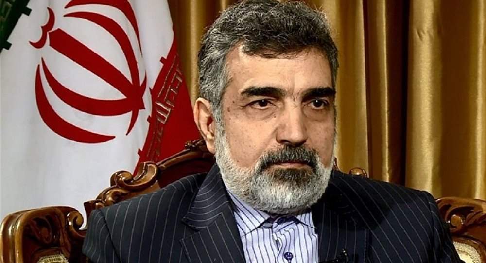 سخنگوی سازمان انرژی اتمی ایران در بازدید از سایت نطنز زخمی شد